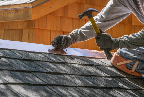 Best Roof Moss and Algae Removal  in Kidron, OH