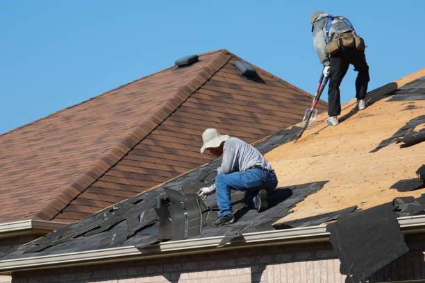 Best Roof Ventilation Installation  in Kidron, OH
